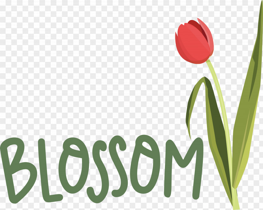 Flower Plant Stem Logo Tulip Font PNG