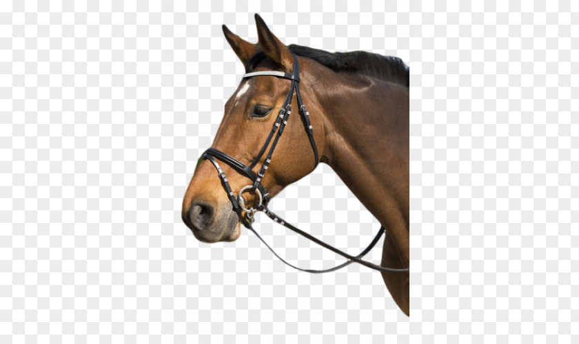 Horse Halter Bridle Equestrian Filet PNG
