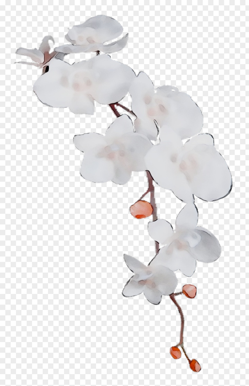Moth Orchids ST.AU.150 MIN.V.UNC.NR AD Product Cherry Blossom PNG