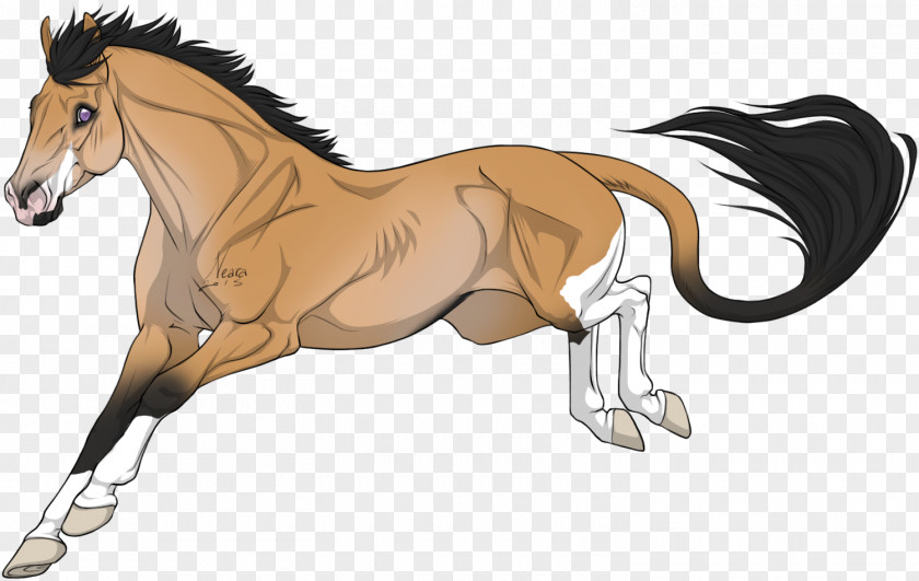 Mustang Foal Mane Stallion Colt PNG