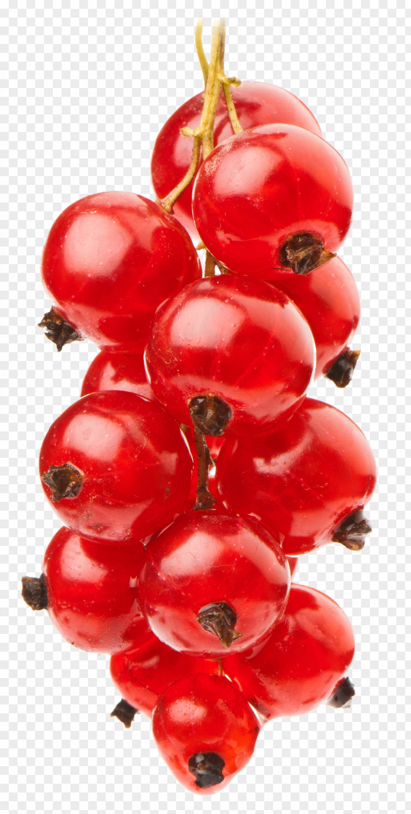 Vegetable Cranberry Eurofruit PNG