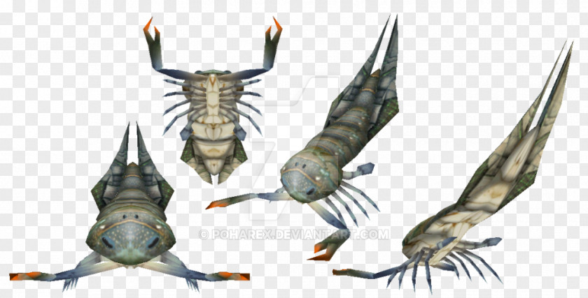 Crab Carnivores 2 Insect Animal Mandible PNG