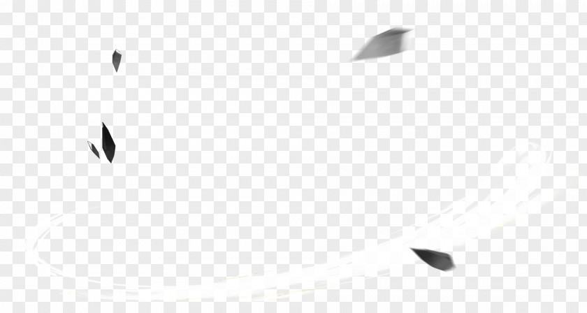 Feathers Falling White Pattern PNG