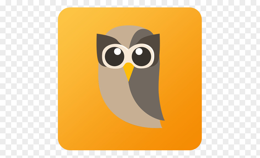 Hootsuite Owl Yellow Bird Of Prey Beak Orange PNG
