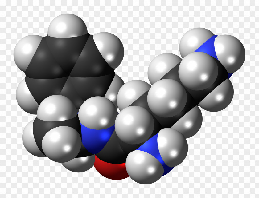 Lisdexamfetamine Dextroamphetamine Stimulant Substituted Phenethylamine Prodrug PNG