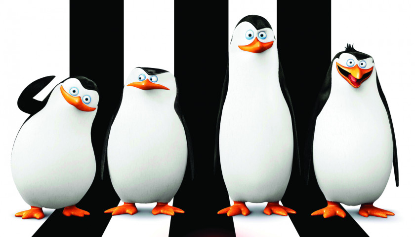 Madagascar Penguins Kowalski Skipper Film Animation PNG
