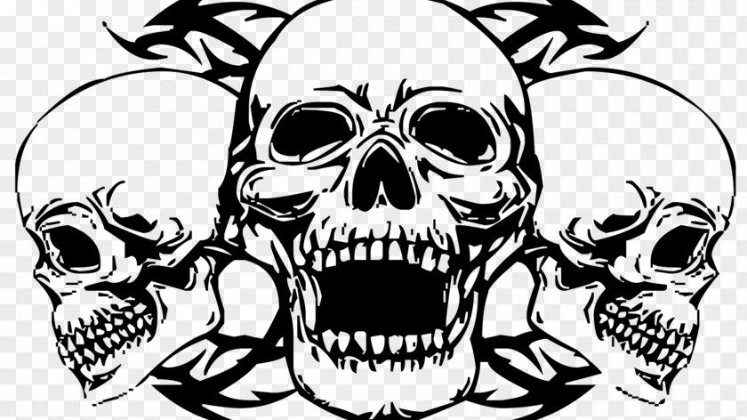Skulls Skull Drawing PNG