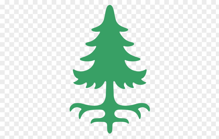 Tree Spruce Western White Pine Eastern Fir PNG