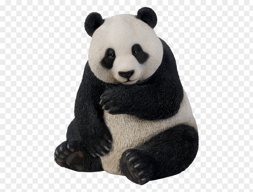 Bear Giant Panda Red Ornament Amazon.com PNG