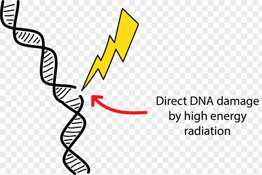 Energy DNA Damage Radiation Therapy Cell PNG