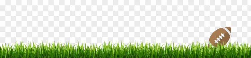 Grass Soccer Grasses Green Commodity Line Tree PNG
