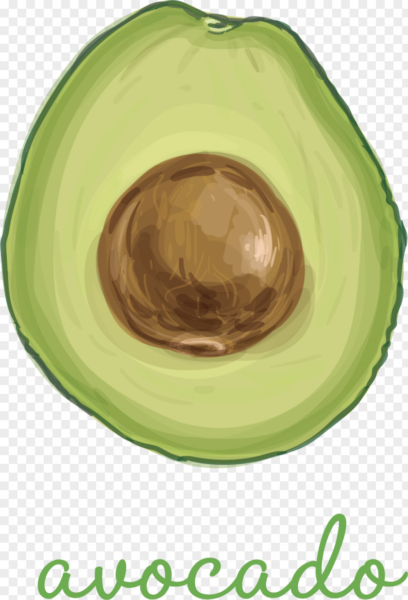 Green Avocado PNG