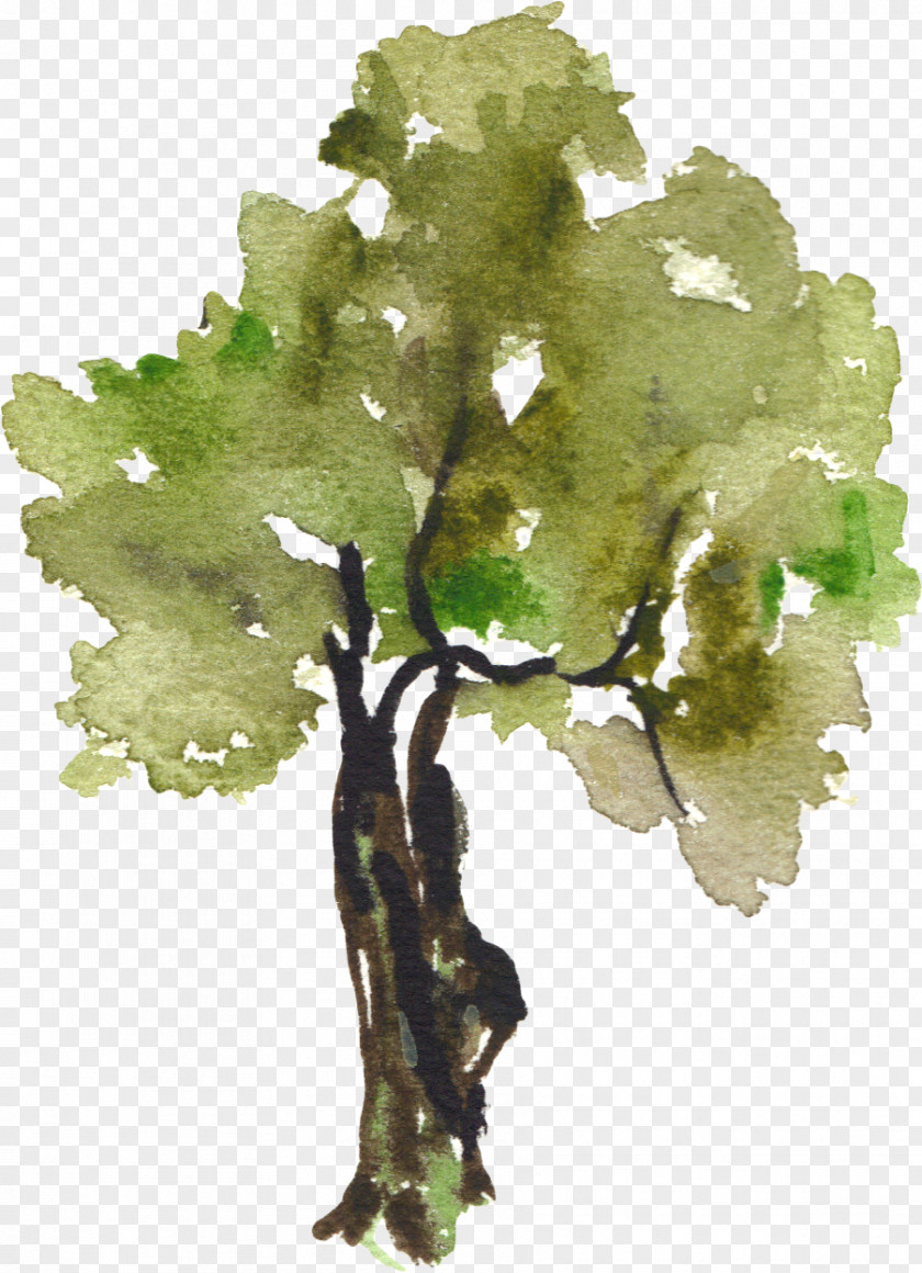 Hand-painted Watercolor Trees Tree Painting Clip Art PNG