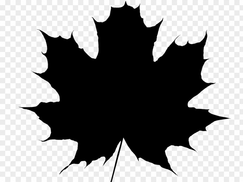 Maple Leaf Vector Graphics Royalty-free PNG