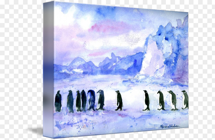 Penguin Watercolor Painting 09738 Art PNG