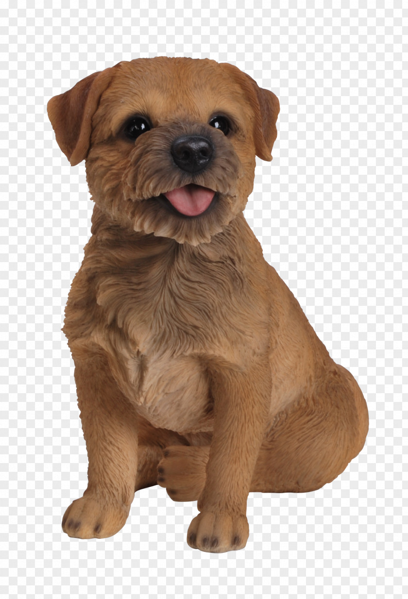 Puppy Norfolk Terrier Border Dutch Smoushond Dog Breed PNG