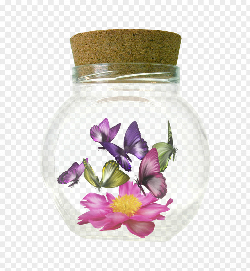 Butterfly Image Borboleta Bottle PNG