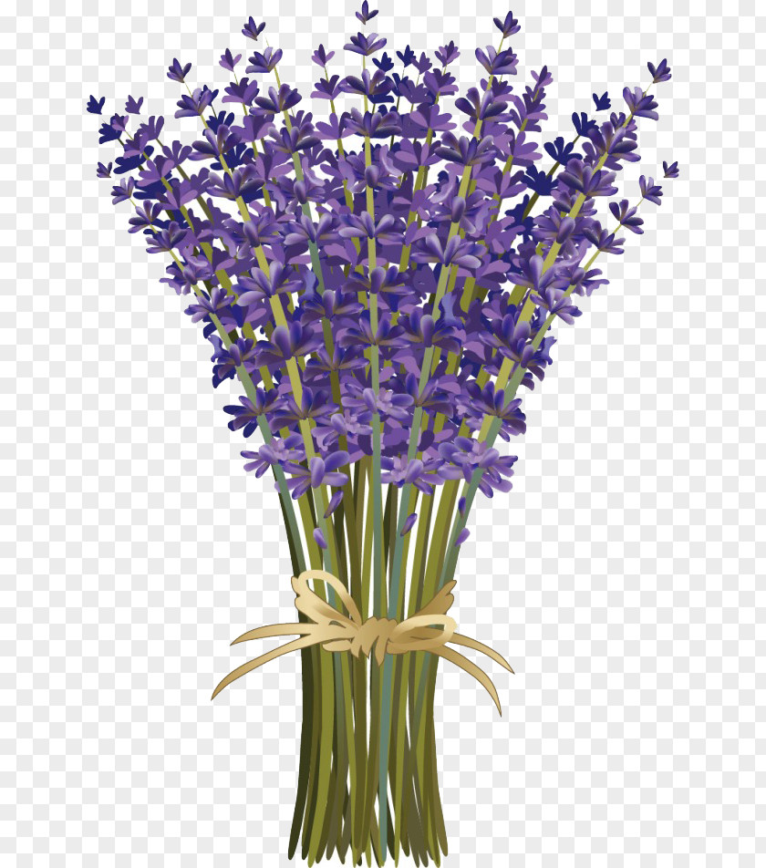 Cartoon Bouquet Of Lavender Creative Lavandula Dentata French Flower Floral Design PNG