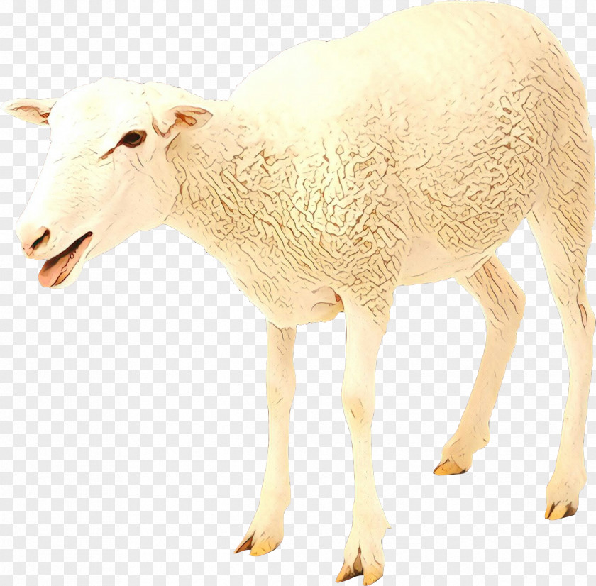 Sheep Goat Cattle Mammal Fauna PNG