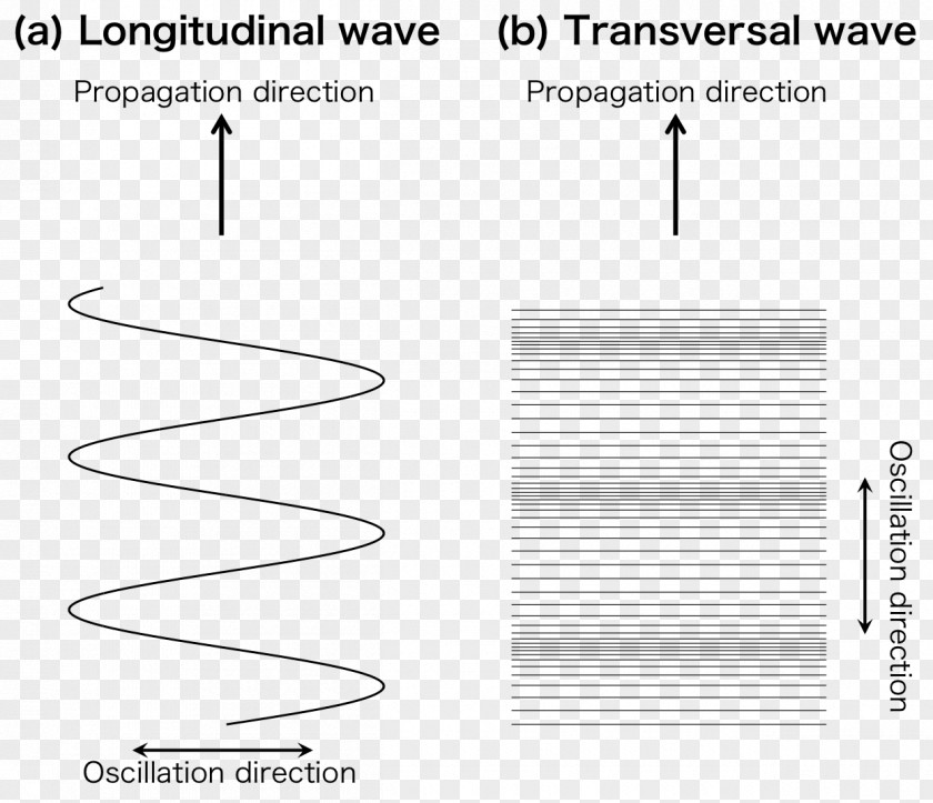 Wave Longitudinal Transverse Propagation Angle PNG