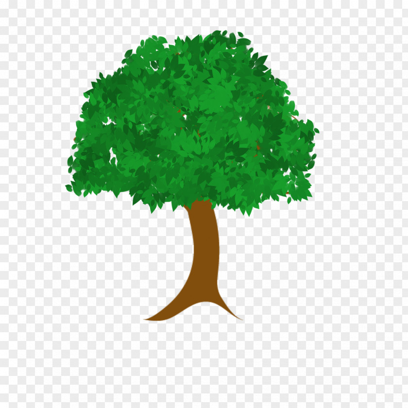 Forest Trees Green Font Leaf PNG