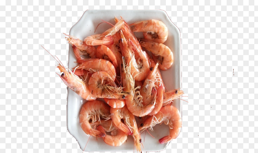 Nansha Island Cuisine Caridea Recipe Dish Shrimp PNG