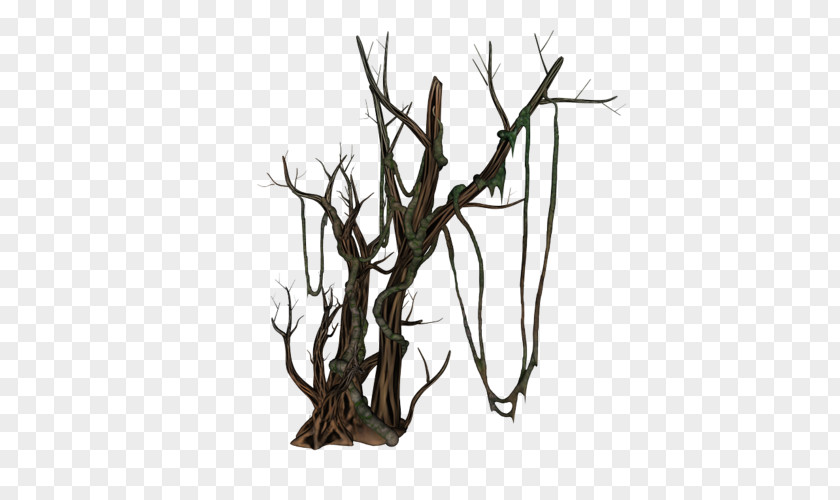 Tree Twig Trunk PNG