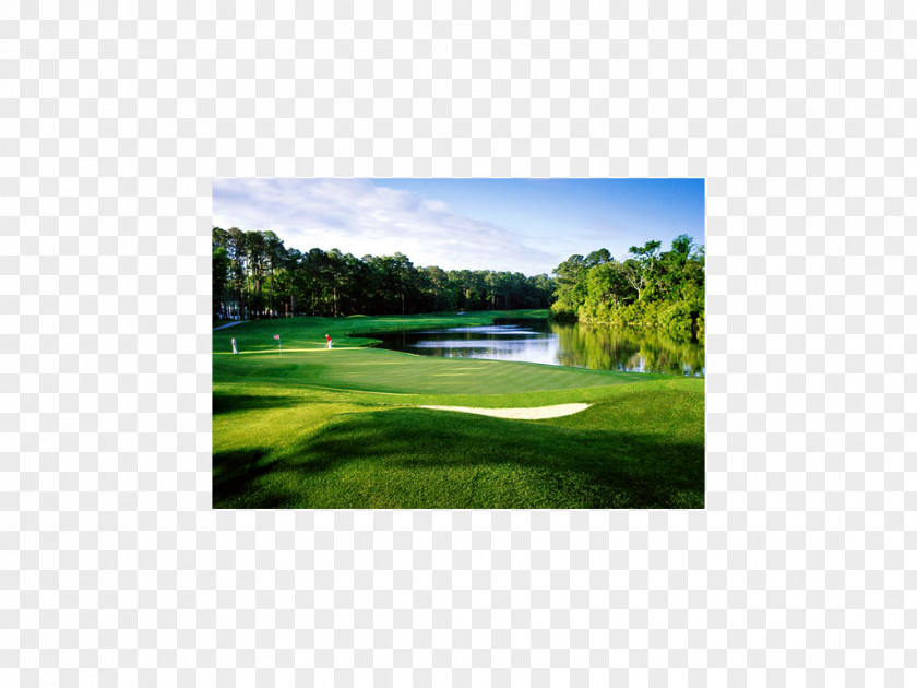 Westin Hotels Resorts Palmetto Dunes Golf Course Hall Plantation Ownrs Robert Trent Jones Trail Parkway PNG