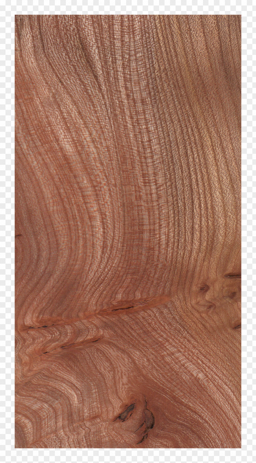 Wood Sebastian Cox Ltd Hardwood Flooring PNG