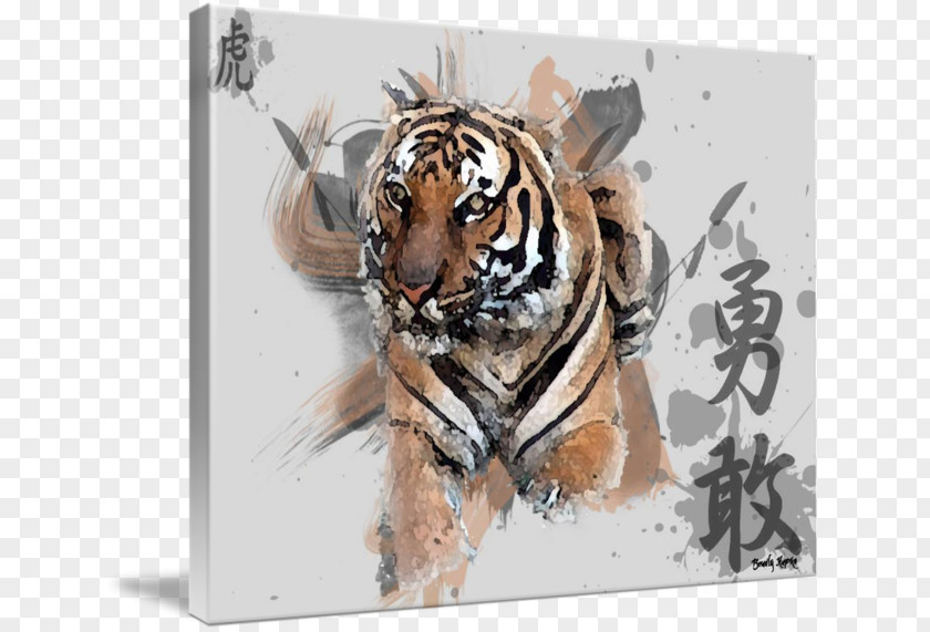 Asian Tiger Imagekind Art Poster Canvas PNG