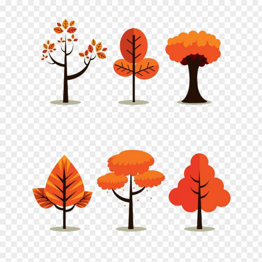 Autumn Trees Picture Material Tree PNG