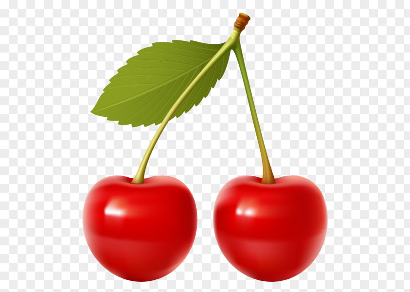 Berries Cherry Clip Art PNG
