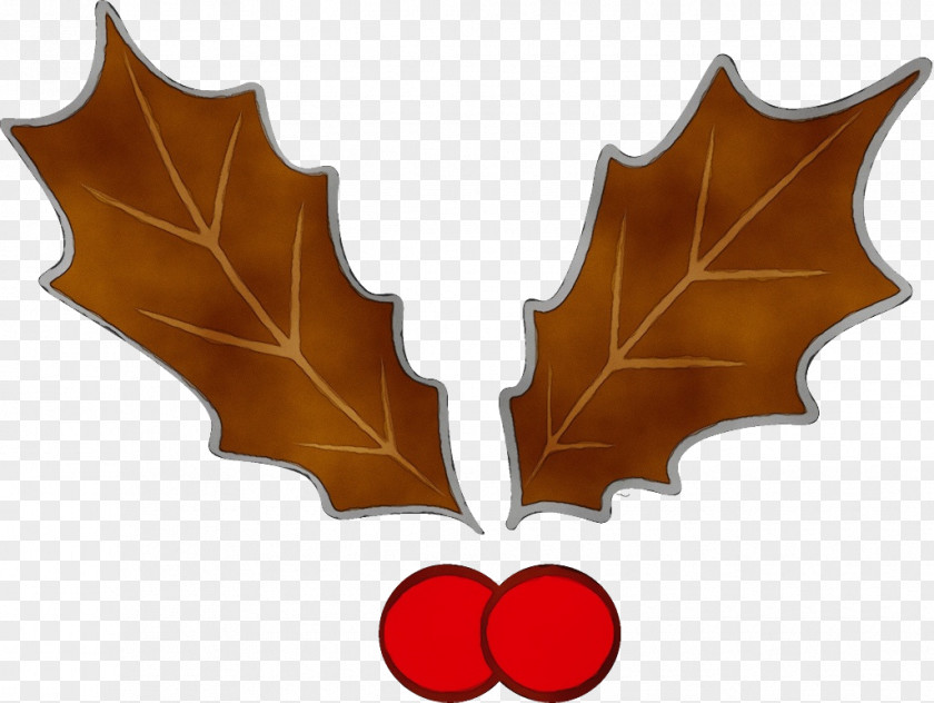 Black Maple Plant Leaf PNG