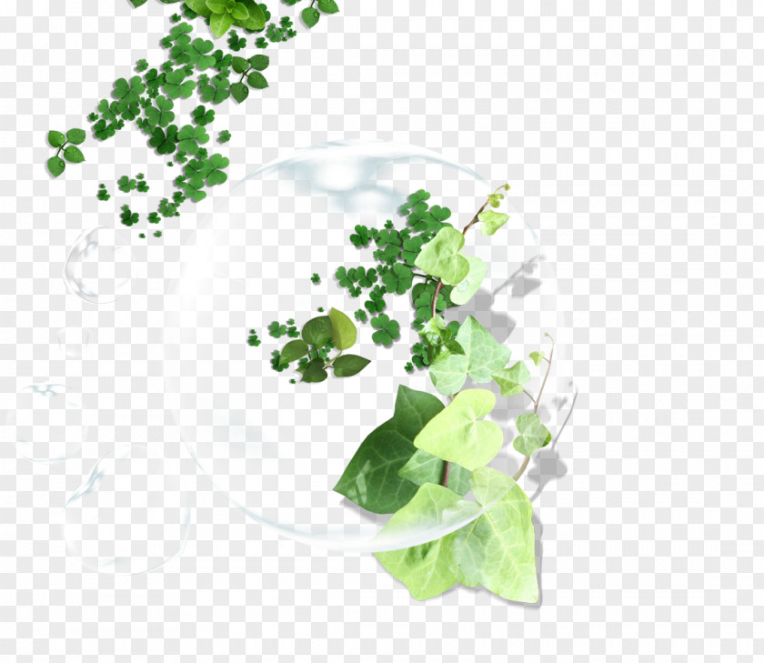 Drops Green Leaf Clover PNG