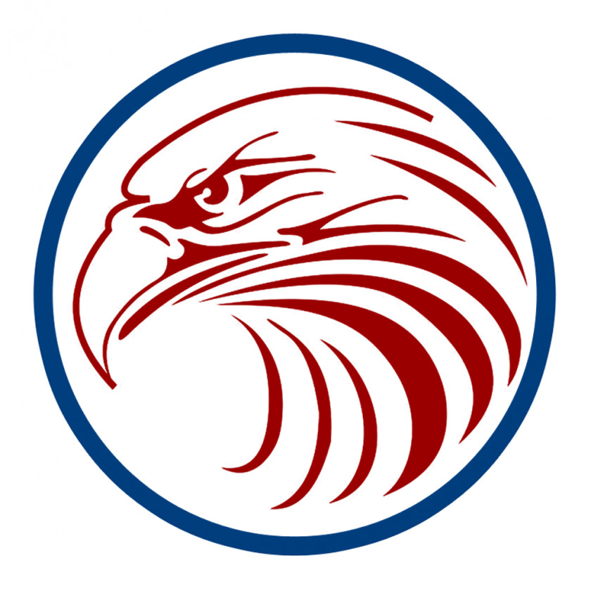 Falcon Bald Eagle Logo Clip Art PNG