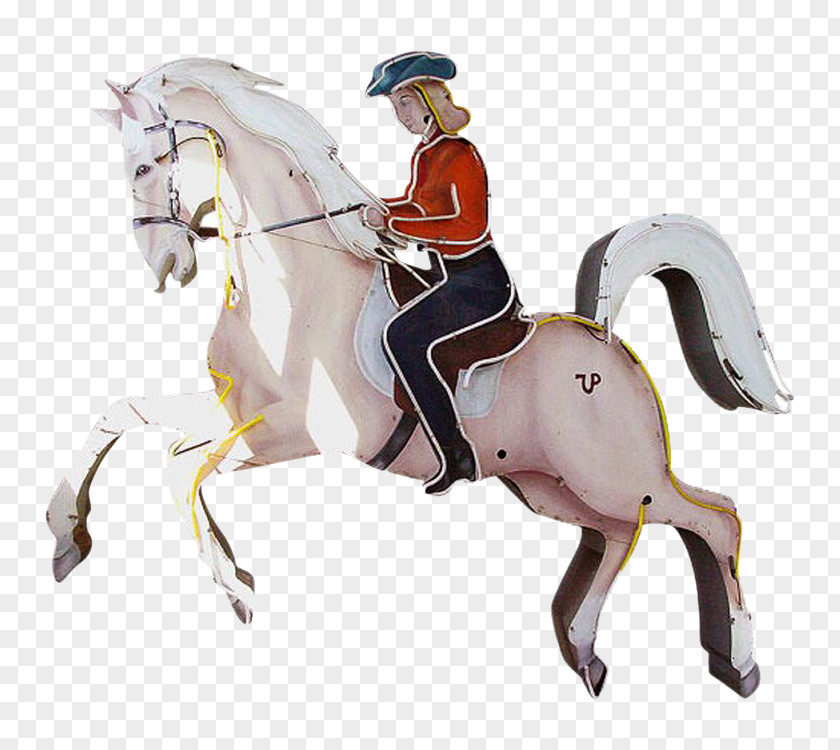 Horse Rein Stallion Equestrian Bridle PNG