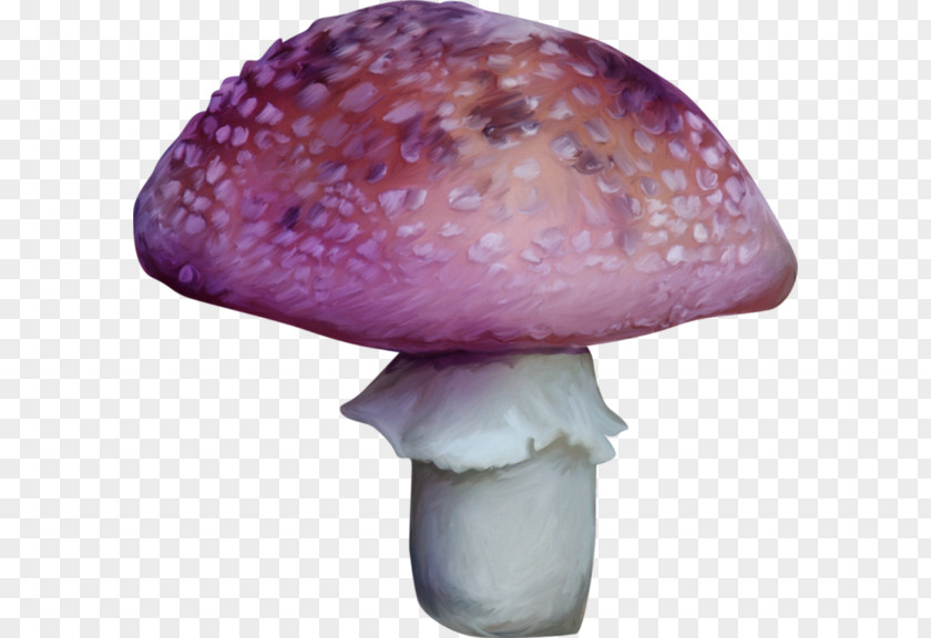 Purple Little Mushrooms Agaricaceae Edible Mushroom Medicinal Fungi PNG