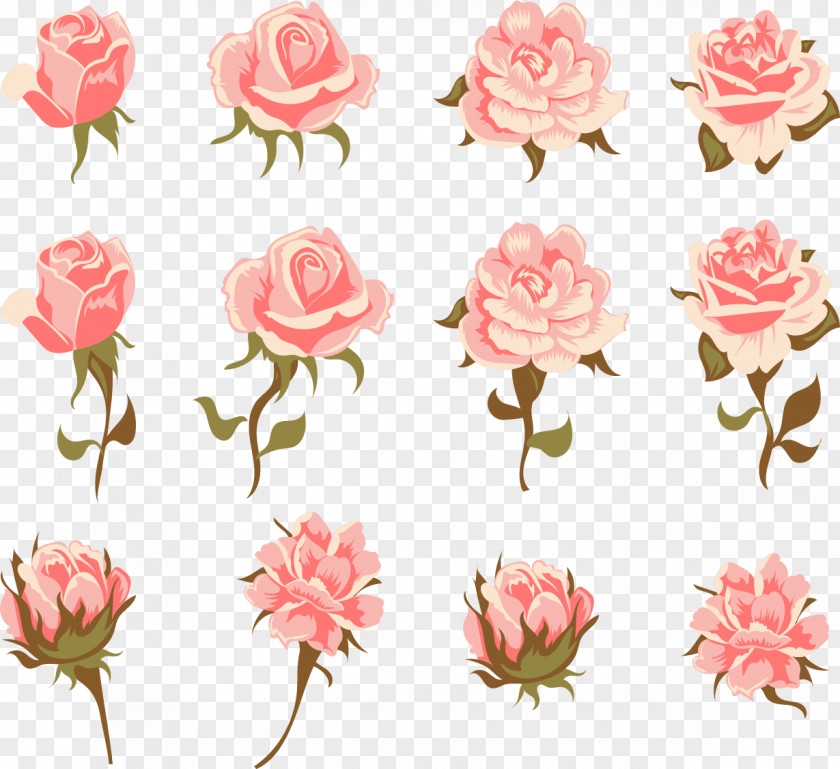 Romantic Pink Roses Garden Centifolia Flower Vintage Clothing PNG