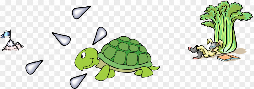 Turtle The Tortoise And Hare Teamwork Rabbit PNG