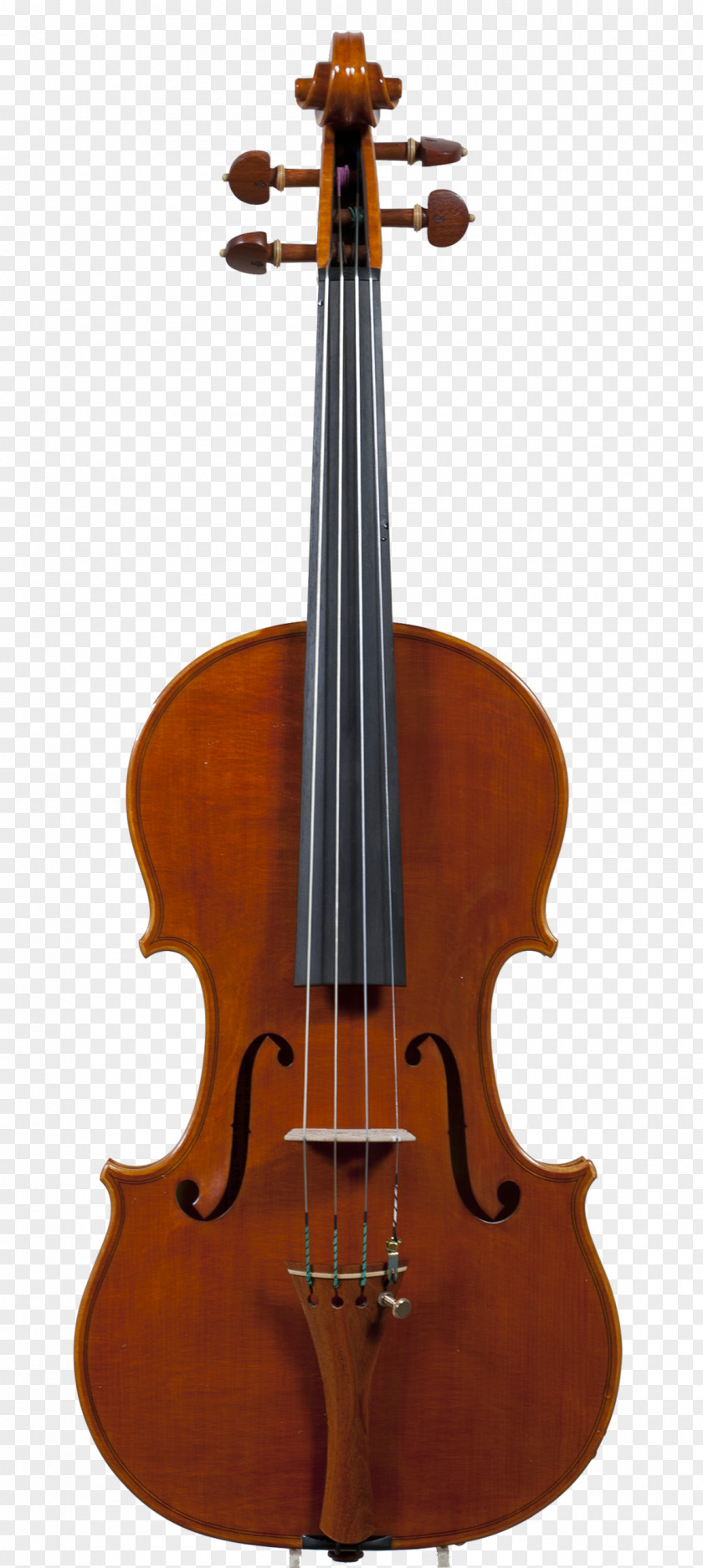Beautiful Violin France Viola Cello Musical Instruments PNG
