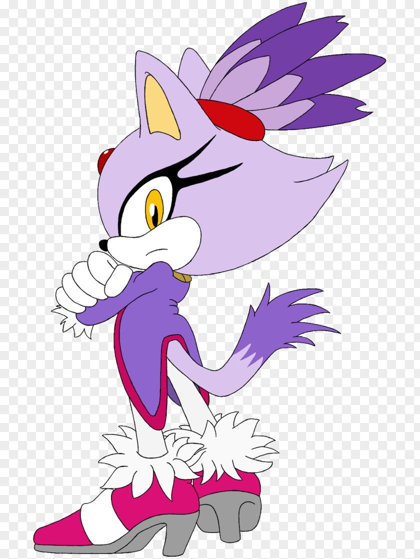 Blaze Sonic The Hedgehog Rouge Bat Cat Silver PNG