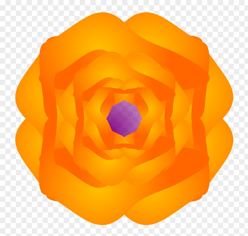 Orange Flower Rosaceae Rose Petal Yellow PNG