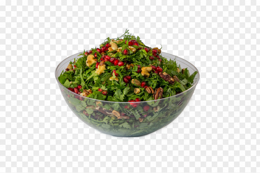 Salad Asian Cuisine Vegetarian Bowl Platter PNG