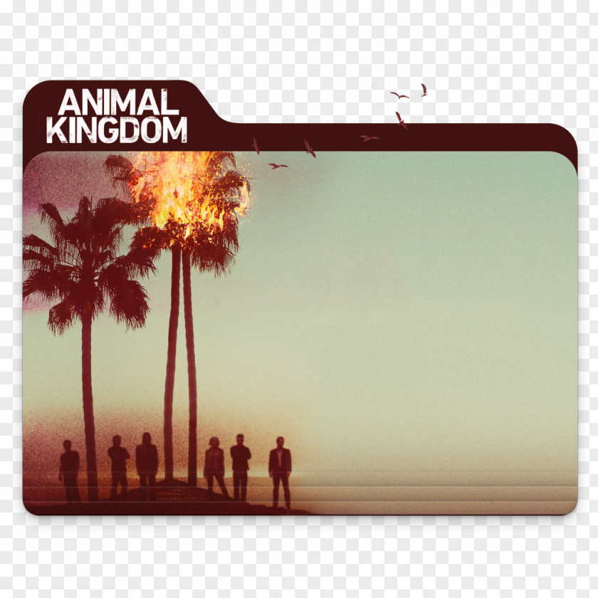 Season 2 Deran Cody Animal KingdomSeason 1Animal Kingdom Television Show Joshua 'J' PNG