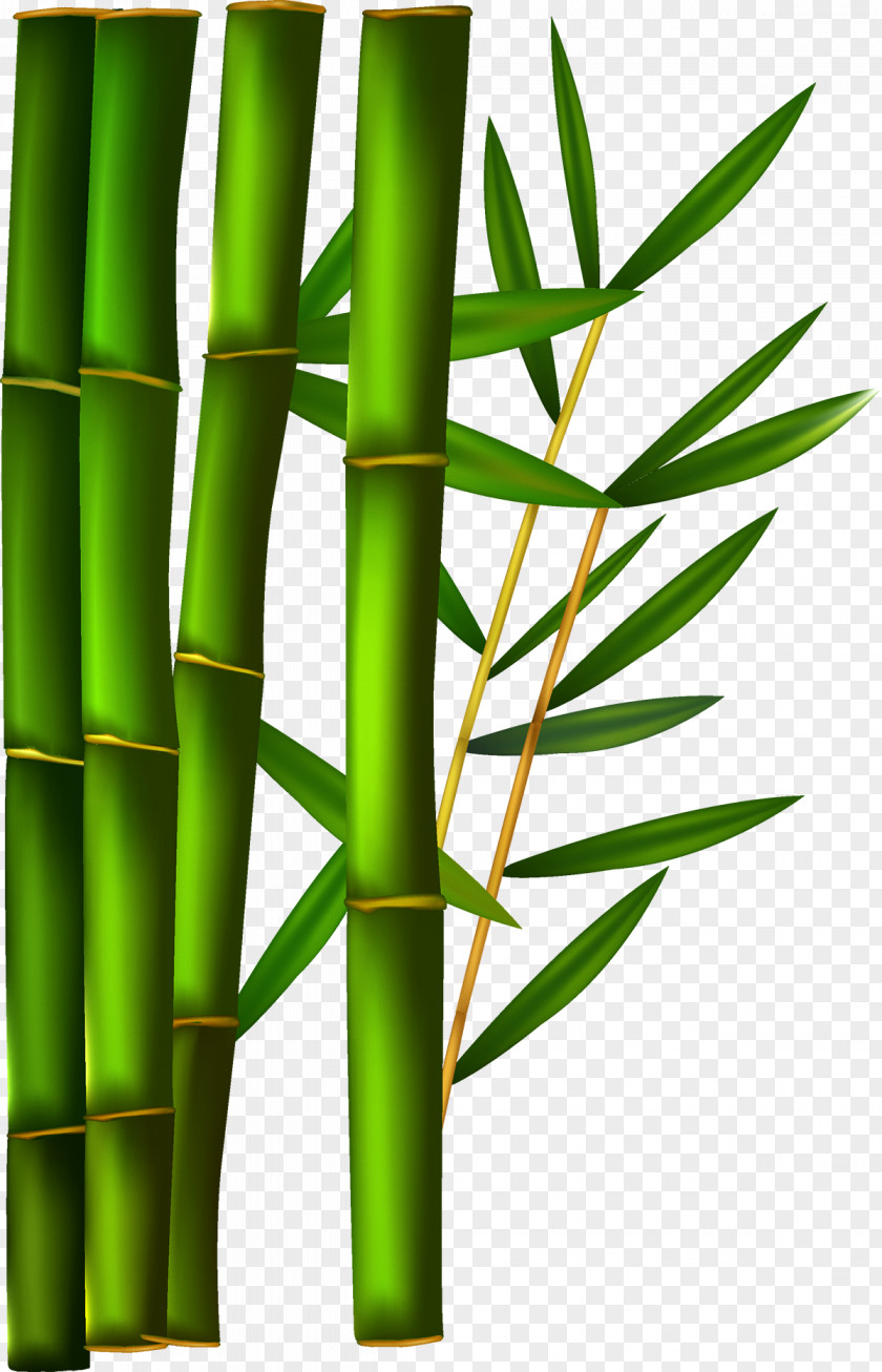 Green Bamboo Paper Clip Art PNG