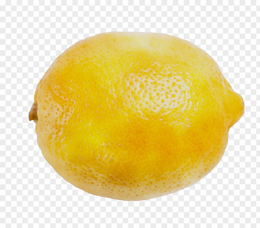 Lemon Citron Citric Acid Citrus PNG
