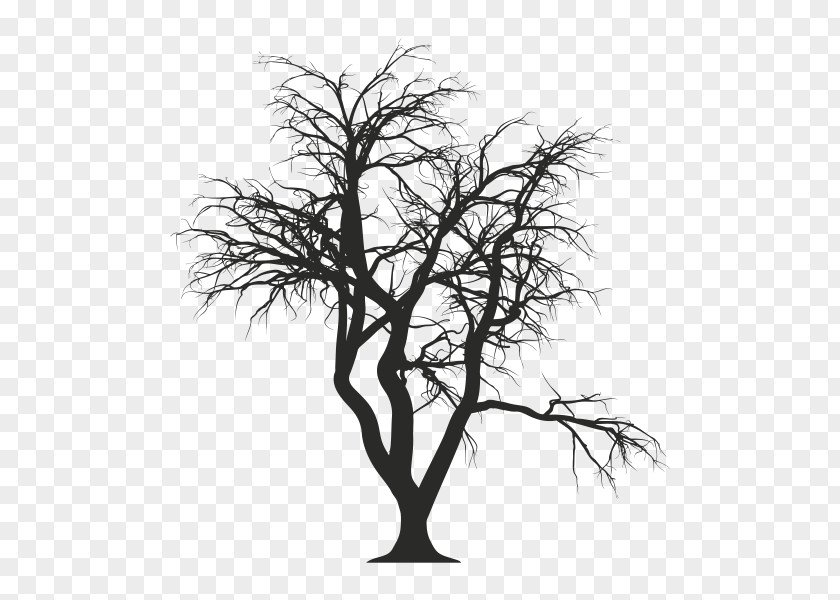 Tree Drawing Photography PNG