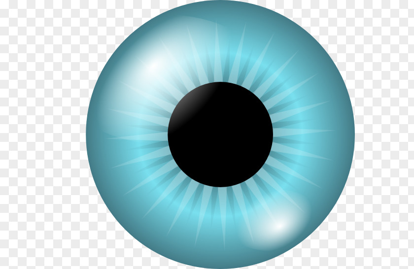 Vector Iris Human Eye Pupil Clip Art PNG