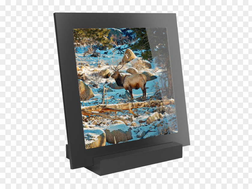 Bohemian National Wind Picture Frames PNG