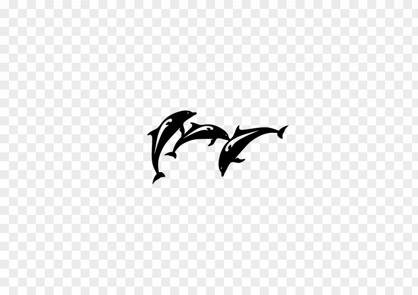 Dolphin Black And White Clip Art PNG